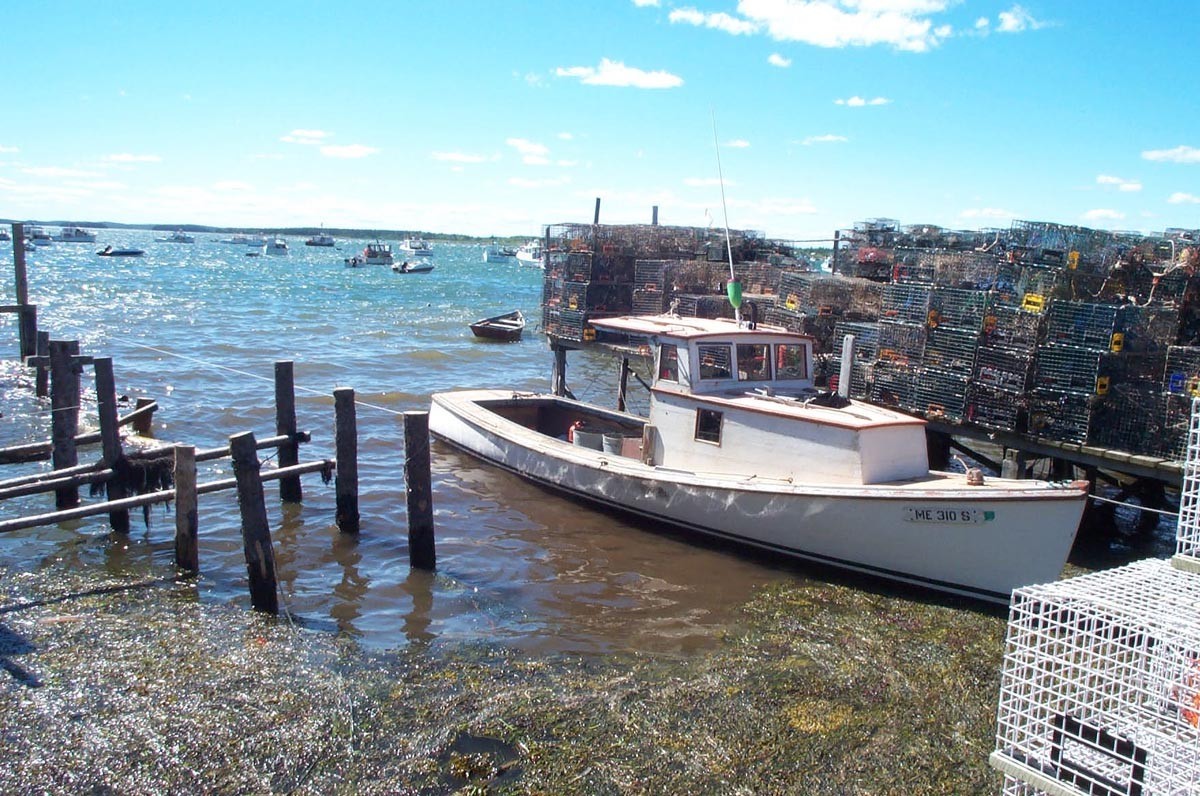 Lobster Traps Beals Island
